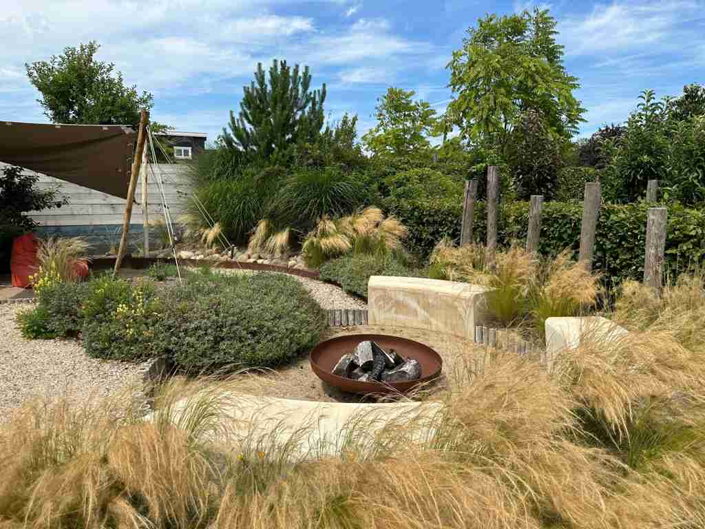 landscaping ideas for backyard with fire pit